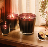 Nest Autumn Plum Classic Candle