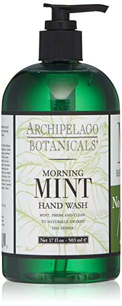 Archipelago Botanicals Morning Mint 17 Oz. Hand Wash