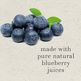 Grether's Pastilles Blueberry Sugarfree 3.75 oz