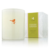 Thymes Mandarin Coriander Candle