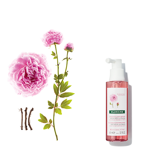 Peony