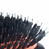 Kent Large Black Porcupine Cushion Brush - CSML